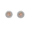 Strieborné náušnice Hot Diamonds Emozioni Spirzzare EE032