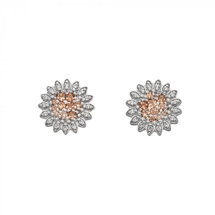 Strieborné náušnice Hot Diamonds Emozioni Spirzzare EE032