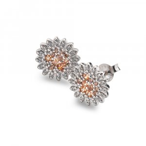 Strieborné náušnice Hot Diamonds Emozioni Spirzzare EE032
