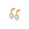 Strieborné náušnice Hot Diamonds X Gemstones Oval DE776