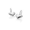 Strieborné náušnice Hot Diamonds Desire DE780